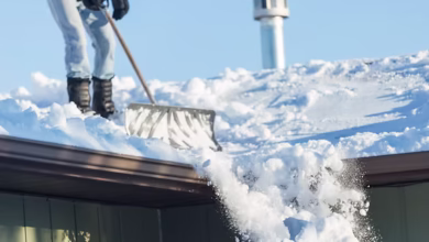 Protecting Your Roof